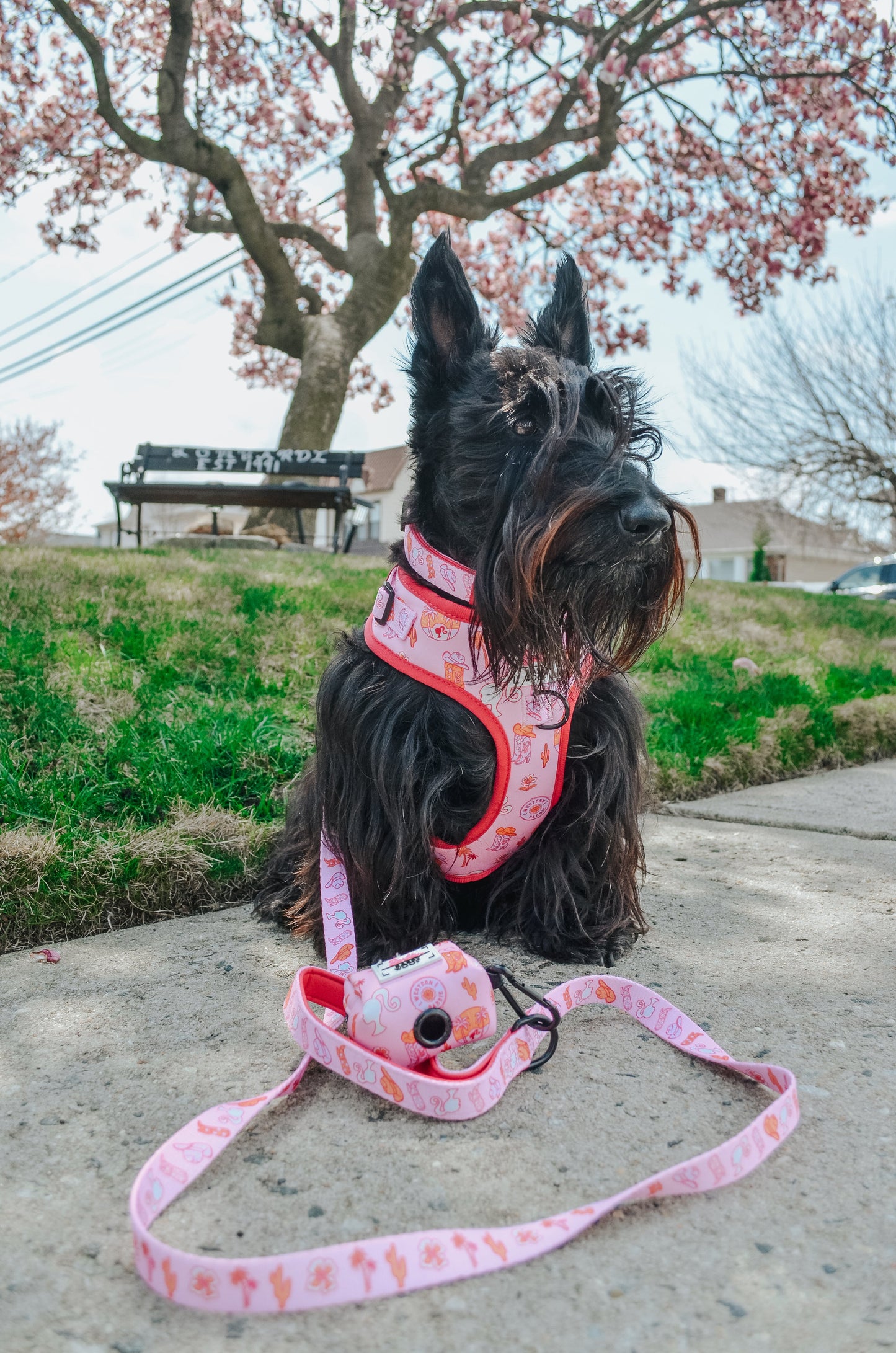 Dog Adjustable Harness - Western Barbie™