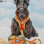 Dog Adjustable Harness - Wonder Woman™