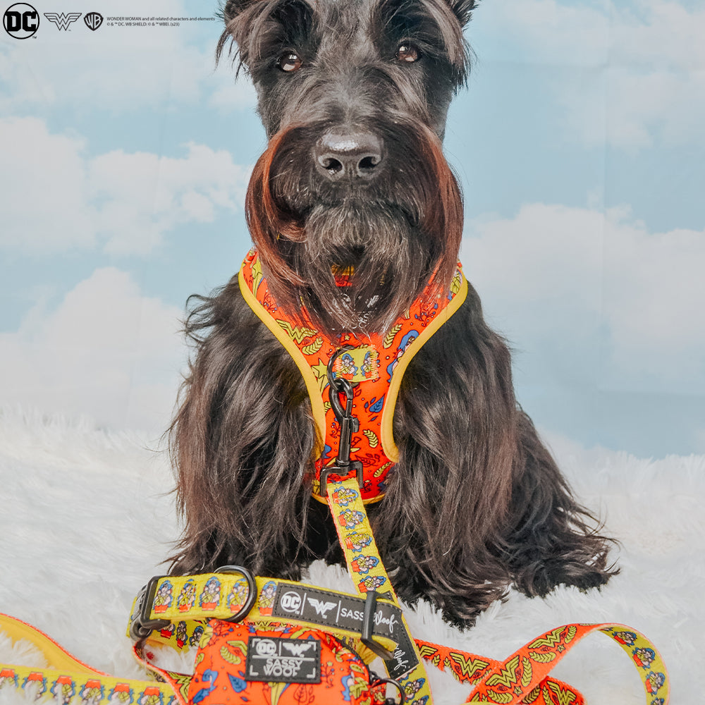 Dog Adjustable Harness - Wonder Woman™