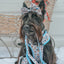 Dog Adjustable Harness - Let it Bow