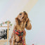 Dog Adjustable Harness - Deck the Paws