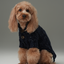 GLACIER PET SWEATER - NAVY