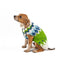 Spring Ski Bum Dog Sweater