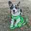 Dog Adjustable Harness - Neon Green