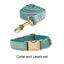 Green Velvet Set