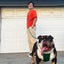 Kismet Dog Leash