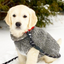 Gray Cable Knit Dog Sweater
