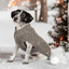 Gray Cable Knit Dog Sweater