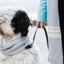 Cashmere Blend Scarf sets for Pets and their humans, Heather Grey