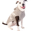 Alpaca Grey Snowflake Dog Sweater