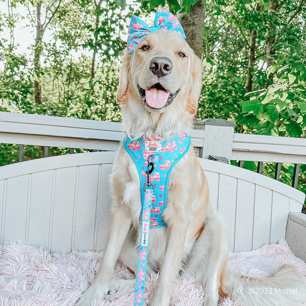 Dog Leash - BARBIE™ On a Roll