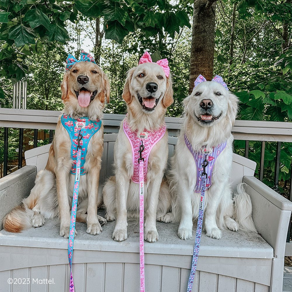 Dog Adjustable Harness - BARBIE™ Closet Goals