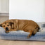 Hampton Navy Lounge Bed
