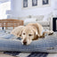 Hampton Navy Lounge Bed