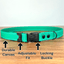 Hands-Free LED Belt Leash
