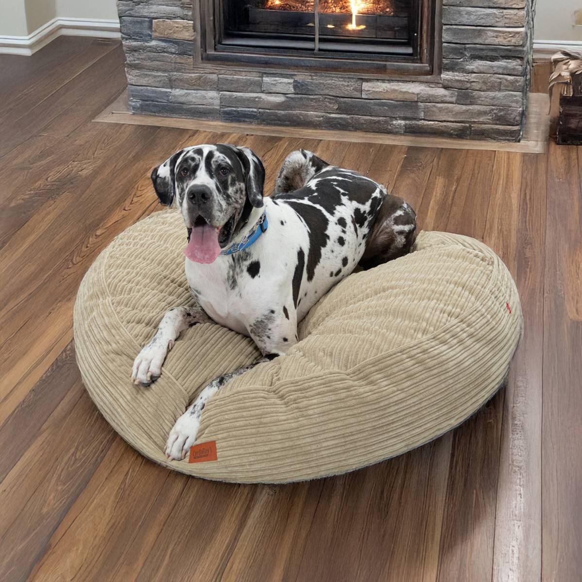 50 Inch Forever Dog Bed (Waterproof) - Terry Corduroy