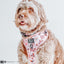 Dog Adjustable Harness - Harley Quinn™