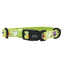 Dog Collar - Haunt Mess