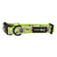 Dog Collar - Haunt Mess