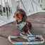 Dog Leash - Patch Perfect