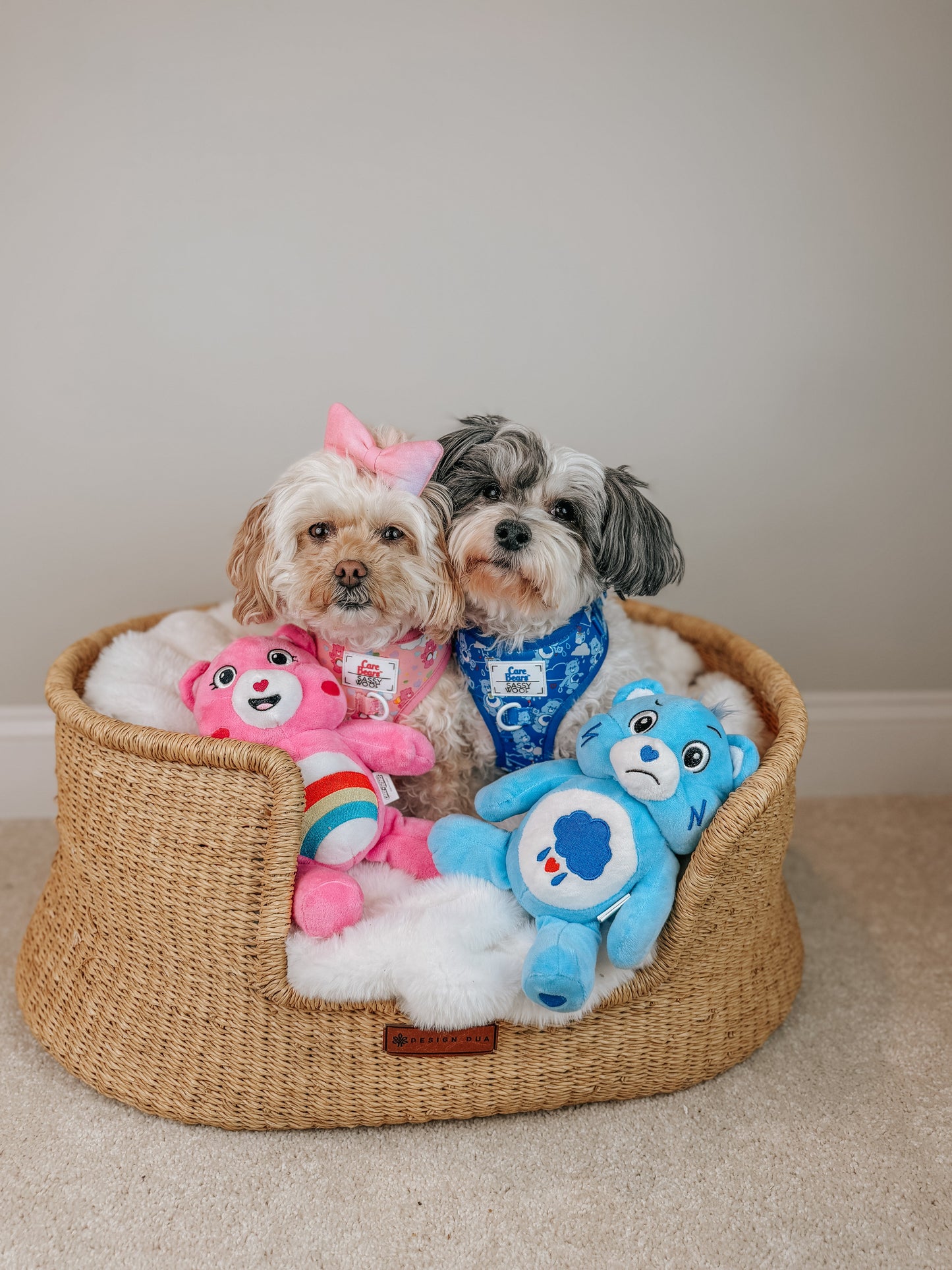 Dog Adjustable Harness - Care Bears™ Cheer Bear