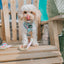 Dog Adjustable Harness - Pup Pup Hooray