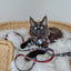 Cat Leash - STAR WARS™ The Dark Side