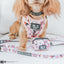 Dog Adjustable Harness - Harley Quinn™