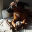 Tilley + Me Indestructible Hemp Rope Ball Toy - Sustainable and Non-Toxic Pet Toy