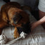 Tilley + Me Indestructible Hemp Rope Tug Toy - Sustainable and Non-Toxic Pet Toy