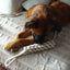 Tilley + Me Indestructible Hemp Rope Tug Toy - Sustainable and Non-Toxic Pet Toy
