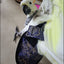 Hen Holster Bird Diaper/Harness (chicken diaper, duck diaper, pigeon diaper with Removable Vinyl Liner)