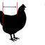 Hen Holster Chicken Diaper Harness with Permanent Sewn-in Liner (Duck Diaper, Goose Diaper, Parrot Diaper)