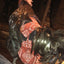 Hen Holster Bird Diaper/Harness (chicken diaper, duck diaper, pigeon diaper with Removable Vinyl Liner)