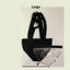 Hen Holster Bird Diaper/Harness (chicken diaper, duck diaper, pigeon diaper with Removable Vinyl Liner)