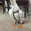 Hen Holster Duck Diaper Goose Diaper Removable Liners