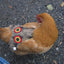 Hen Saver Chicken Saddle for Hens (Made in USA Hen Apron)