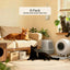 MoodifyPet Cat Litter Box Odor Neutralizer — 6 Pack (Whole-Home)