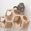 Honeycomb Cat Shelves Light