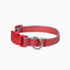 Waterproof Dog Collar