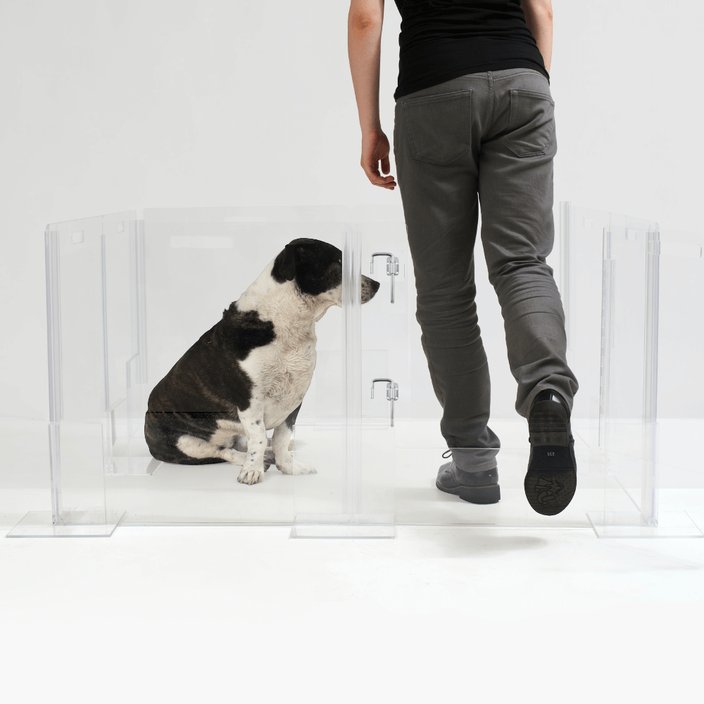 Clear Pet Playpen, 32" High with Door