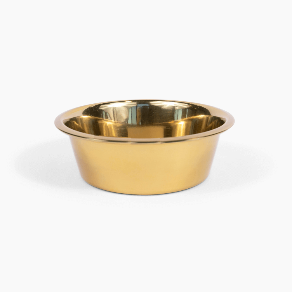 Hiddin Metal Pet Bowls Set