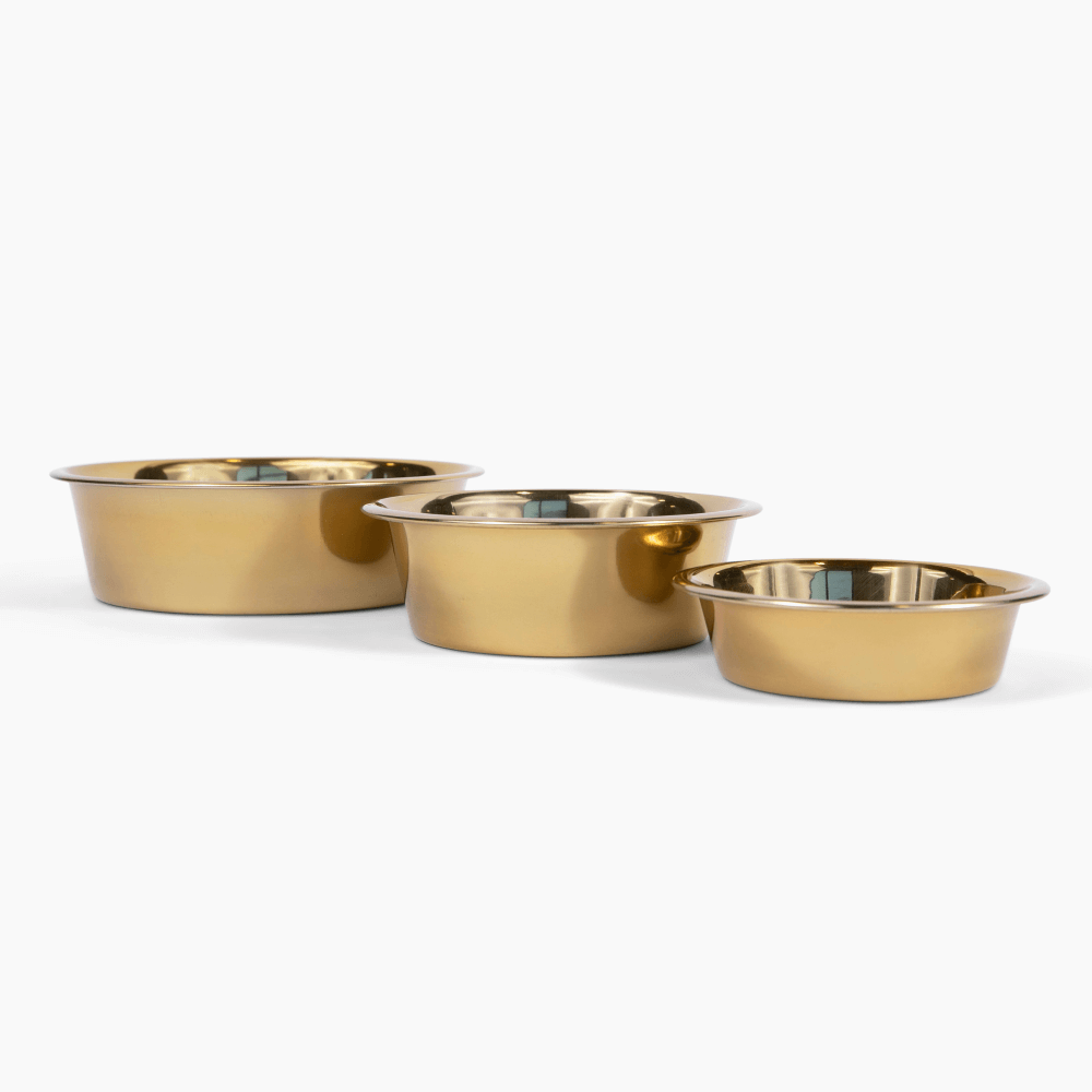 Hiddin Metal Pet Bowls Set