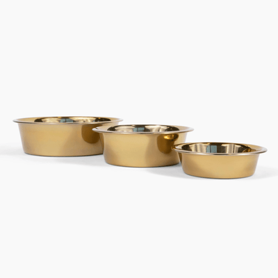 Hiddin Metal Pet Bowls Set