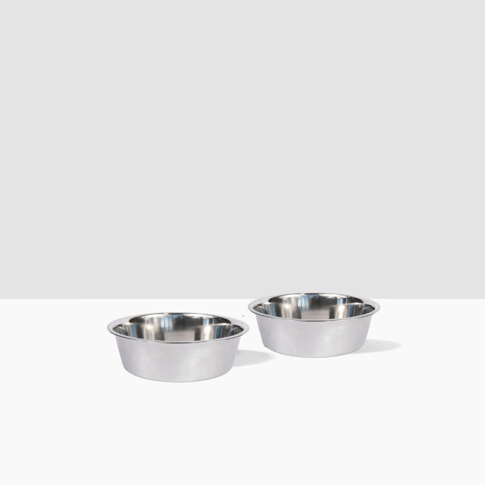 Hiddin Metal Pet Bowls Set