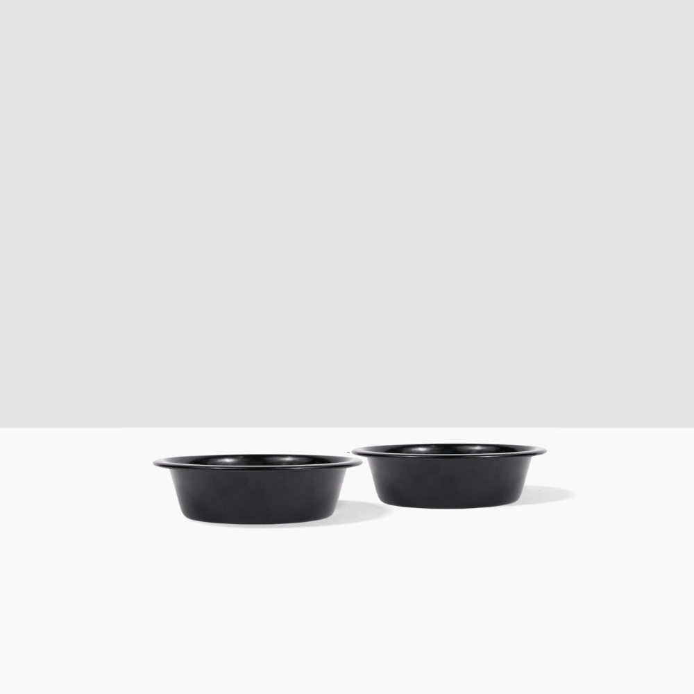 Hiddin Metal Pet Bowls Set