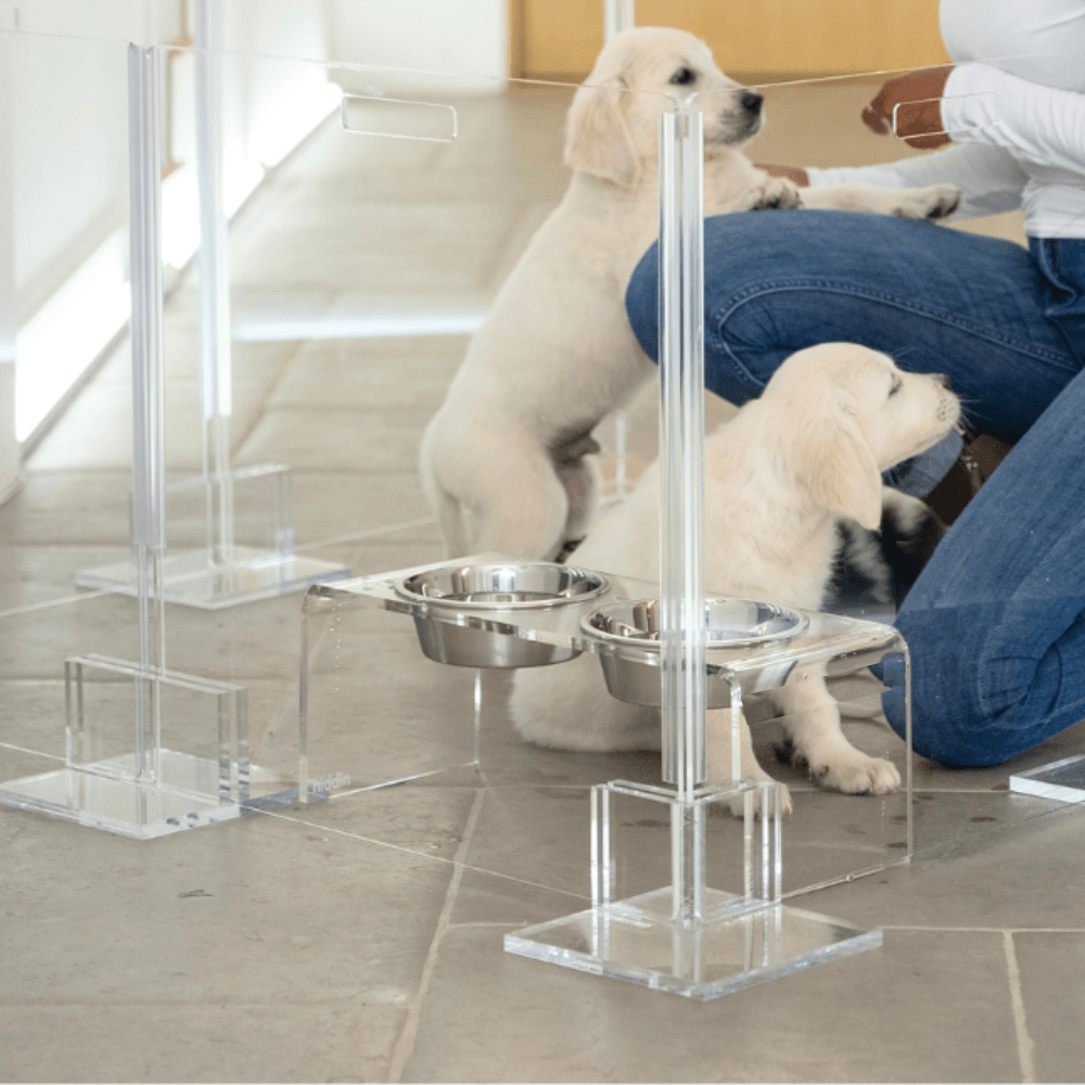 Clear Pet Playpen, 24" High with Door