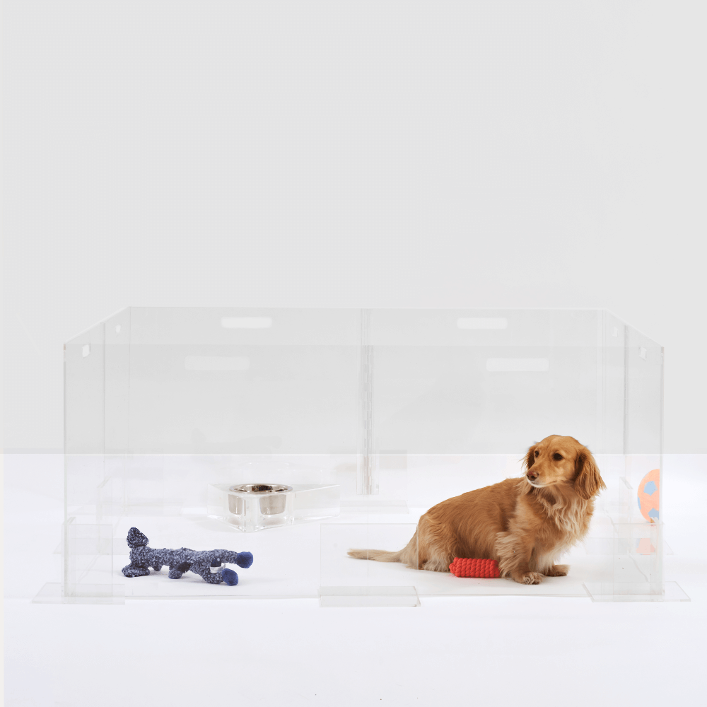 Clear Step-Over Pet Playpen , 24" High