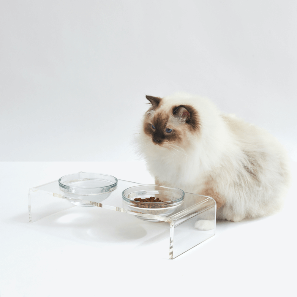Small Glass Bowl Feeder