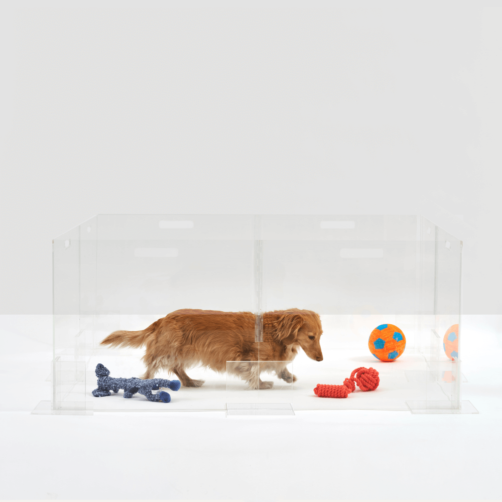 Clear Step-Over Pet Playpen , 24" High